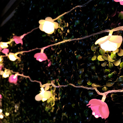 NISCO 20 LEDs 4 m Yellow Steady Flower Rice Lights(Pack of 1)