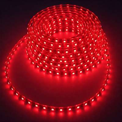 Moonlight 120 LEDs 100 m Red Steady Strip Rice Lights(Pack of 1)