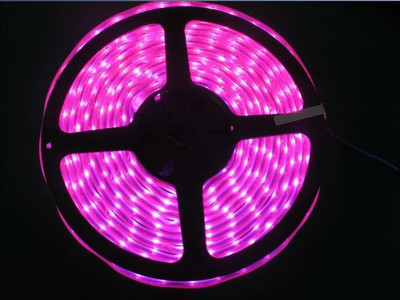 Illuminator 192 LEDs 4 m Pink Steady Strip Rice Lights(Pack of 1)