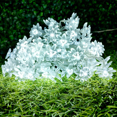 Meneon 20 LEDs 4 m White Steady Flower Rice Lights(Pack of 1)