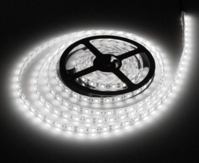 Daiwik 130 LEDs 3 m White Steady Strip Rice Lights(Pack of 1)