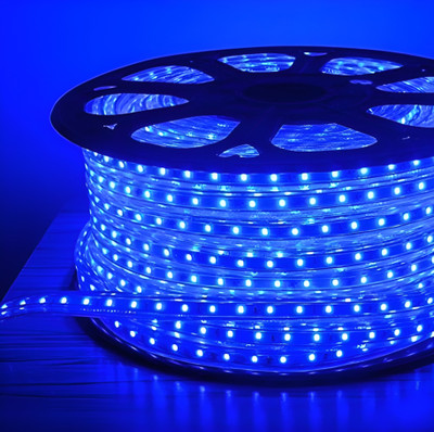 WBD 1100 LEDs 21 m Blue Steady Strip Rice Lights(Pack of 1)