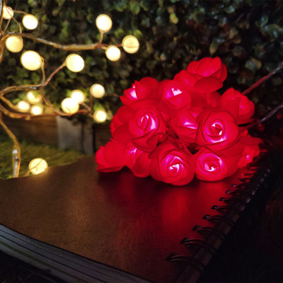 NISCO 20 LEDs 4 m Red Steady Flower Rice Lights(Pack of 1)