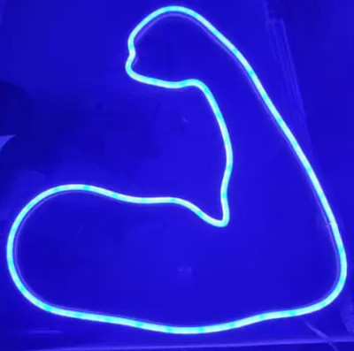 SG Print 1 LEDs 25 m Blue Steady String Rice Lights(Pack of 1)