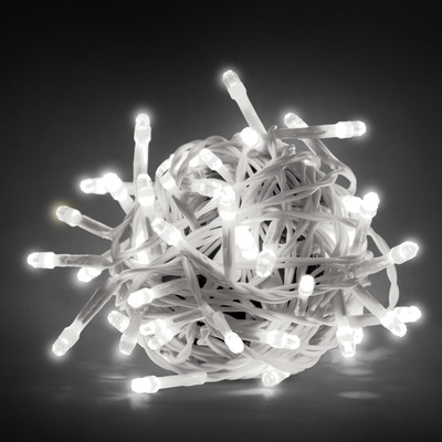 EcoLink 48 LEDs 9 m White Steady String Rice Lights(Pack of 1)