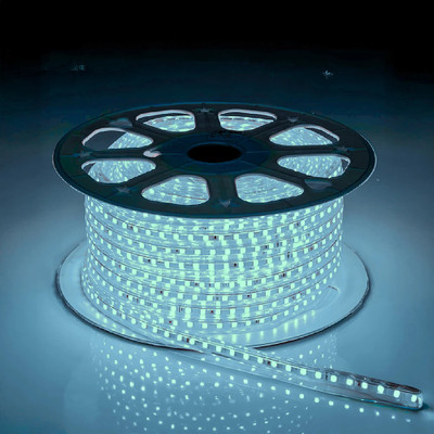 Nortek 120 LEDs 50 m Blue Steady Strip Rice Lights(Pack of 1)