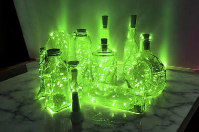 argonlight 16 LEDs 1.6 m Green Steady Diya Rice Lights(Pack of 1)