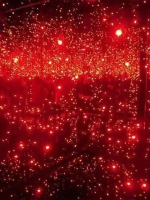 SAYENY 43 LEDs 15 m Red Steady String Rice Lights(Pack of 1)