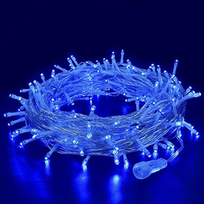 Ever Forever 35 LEDs 10 m Blue Steady String Rice Lights(Pack of 1)