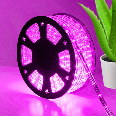 D'Mak 1 LEDs 40 m Pink Flickering Strip Rice Lights(Pack of 1)
