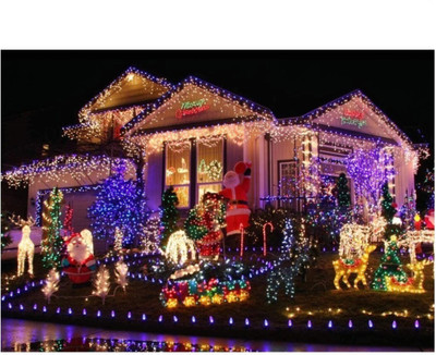 Business Squad 200 LEDs 7 m Multicolor Steady String Rice Lights(Pack of 10)