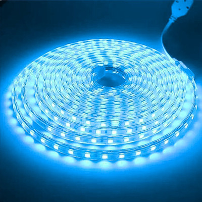 Volt Vision 1200 LEDs 5 m Transparent Steady Strip Rice Lights(Pack of 1)