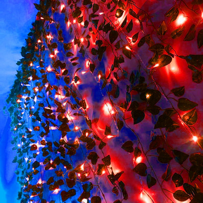NISCO 36 LEDs 6 m Red Steady Bulb Rice Lights(Pack of 1)