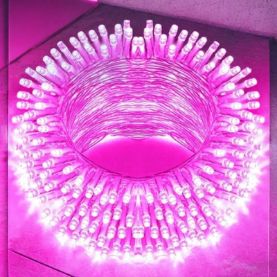 spark world 40 LEDs 11 m Pink Steady Bulb Rice Lights(Pack of 1)