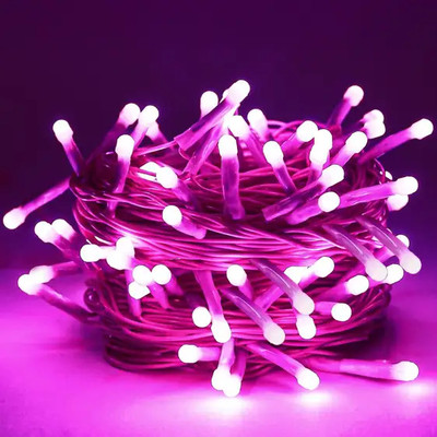 zindal 42 LEDs 16.5 m Pink Steady Ball Rice Lights(Pack of 2)