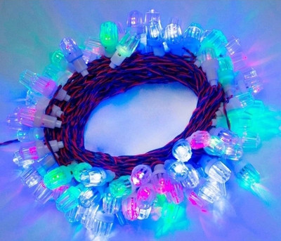 Rice Lights 40 LEDs 10 m Multicolor Color Changing String Rice Lights(Pack of 1)