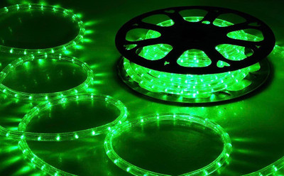 WISENT 600 LEDs 5.08 m Green Steady String Rice Lights(Pack of 1)