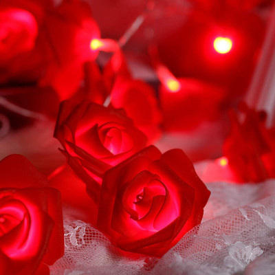 RV SALES 14 LEDs 4 m Red Steady Flower Rice Lights(Pack of 1)