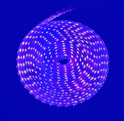 spark world 880 LEDs 10 m Blue Steady Strip Rice Lights(Pack of 1)