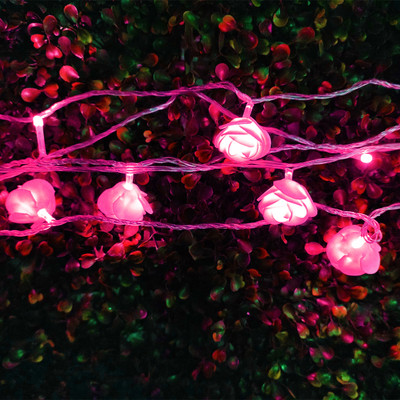 Infiprises 20 LEDs 4 m Pink Steady Flower Rice Lights(Pack of 1)