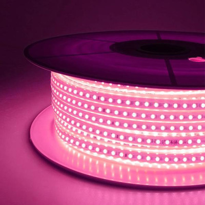 WBD 3200 LEDs 40 m Pink Steady Strip Rice Lights(Pack of 1)