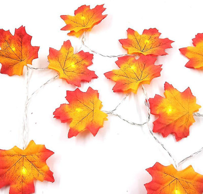 NISCO 20 LEDs 4 m Yellow Steady Leaf Rice Lights(Pack of 1)