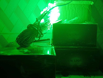 Omkar Variety order suppliers 58 LEDs 20 m Green Steady String Rice Lights(Pack of 1)