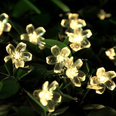 Infiprises 36 LEDs 8 m Gold Steady Flower Rice Lights(Pack of 1)