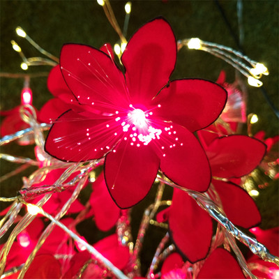 Infiprises 20 LEDs 4 m Red Steady String Rice Lights(Pack of 1)