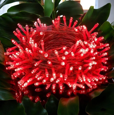 spark world 40 LEDs 11 m Red Steady Bulb Rice Lights(Pack of 1)