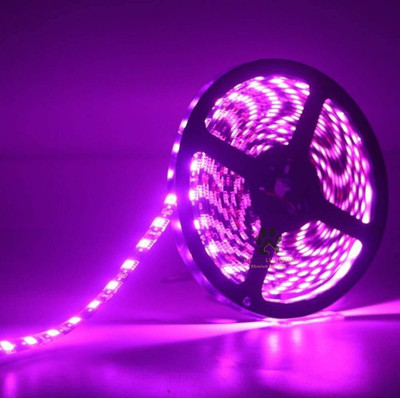 Fybros 600 LEDs 5 m Pink Color Changing, Steady Strip Rice Lights(Pack of 1)