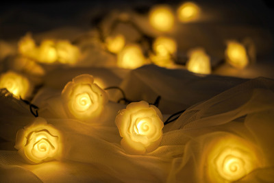Home Delight 20 LEDs 3.18 m Yellow Steady String Rice Lights(Pack of 1)