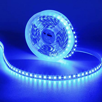 Briton 275 LEDs 5 m Blue Steady Strip Rice Lights(Pack of 1)