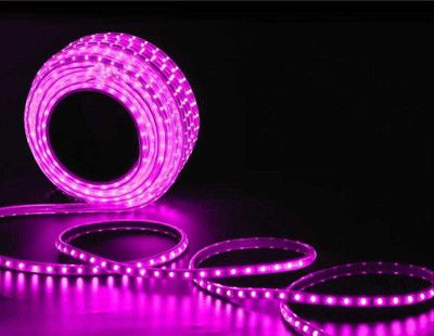 SEETASTIC 240 LEDs 5 m Pink Steady Strip Rice Lights(Pack of 1)