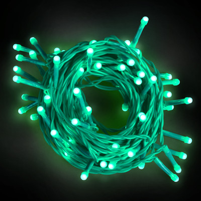 EcoLink 48 LEDs 9 m Green Steady String Rice Lights(Pack of 1)