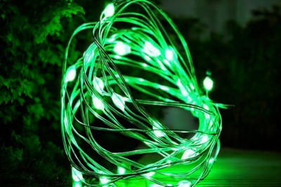 argonlight 16 LEDs 1.6 m Green Steady Diya Rice Lights(Pack of 1)