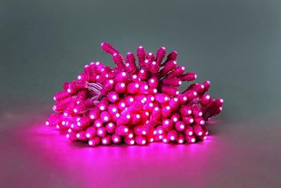 AALOCC 50 LEDs 6 m Pink Color Changing, Flickering, Steady Bulb Rice Lights(Pack of 1)