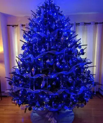 PESCA 60 LEDs 19.99 m Blue Steady String Rice Lights(Pack of 2)