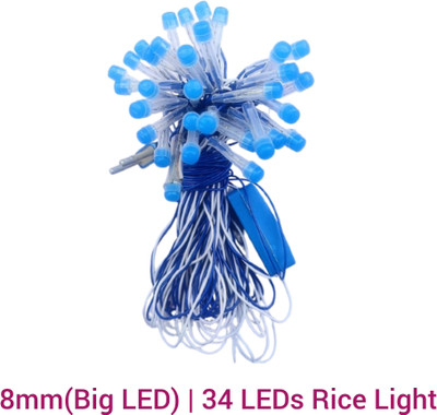 AP Source 34 LEDs 10 m Blue Steady Ball Rice Lights(Pack of 1)