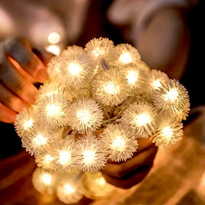 NISCO 20 LEDs 5 m White Steady String Rice Lights(Pack of 1)