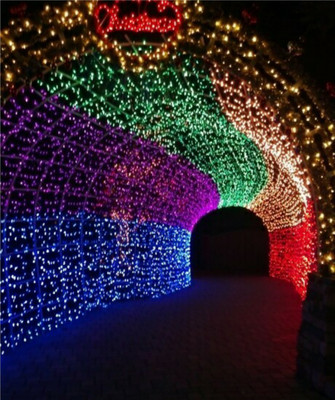 Local Charm 200 LEDs 7 m Multicolor Steady String Rice Lights(Pack of 10)
