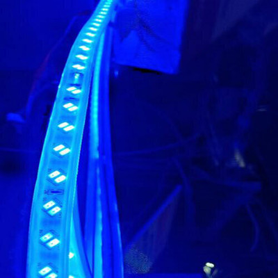 Tryka 432 LEDs 6 m Blue Steady String Rice Lights(Pack of 1)