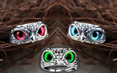 Sunshine Creations Stylish Owl Eye Ring Combo-3 For Men & Women Stainless Steel Silver Plated Ring Set