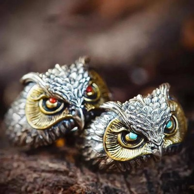 Fashion Frill Owl Eye Rings For Boys Men Adjustable Ring Silver Ring Combo of 2 Stainless Steel Silver Plated Ring