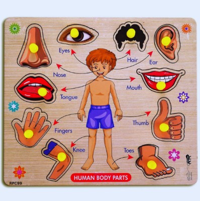 RPC99 Activities BodyPart Chart BoardGame LearningPuzzle WoodenToys With Knobs,Kid(Multicolor)