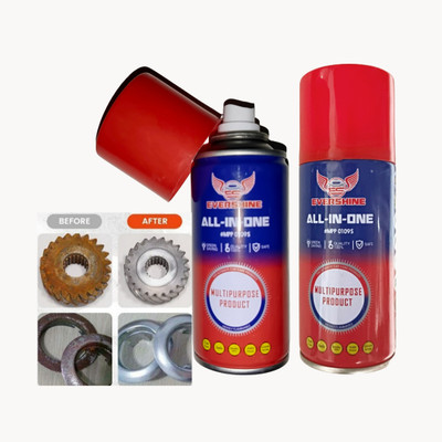 Evershine Rust Remover Spray , Rust Off Spray for Cars & Home 150 ml Each (Set of 2) Rust Removal Aerosol Spray(300 ml)