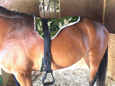 BLESSING PET PRODUCT ARMY PRINT COMBO HORSE SADDLE WITH STRRUP Saddle(Multicolor)
