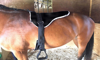 BLESSING PET PRODUCT horse saddle blacks color Saddle(Black)