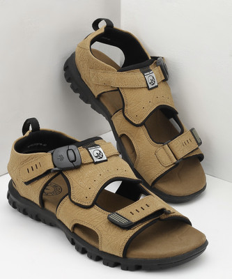 WOODLAND Men Sports Sandals(Multicolor , 6)