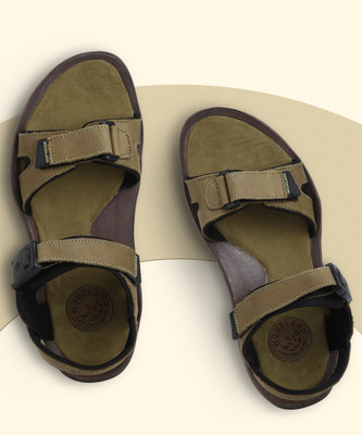 WOODLAND Men Casual(Multicolor , 7 UK/India)